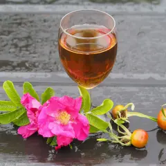 Wino z dzikiej róży: Domowy przepis na aromatyczne wino z dzikiej róży