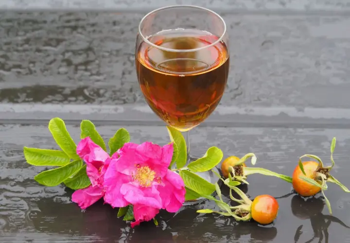 Wino z dzikiej róży: Domowy przepis na aromatyczne wino z dzikiej róży