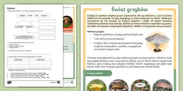 Zdjęcie Sposób na ugotowane grzyby - 5 prostych pomysłów na pyszne dania